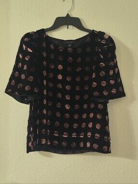 Ann Taylor Black Velvet Polka Dot Short Sleeve Blouse with Rose Dots